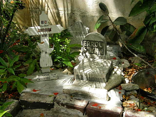 headstones for cats that lived died at the Hemingway House shadows darkening the moss clinging to the carved names and symbols